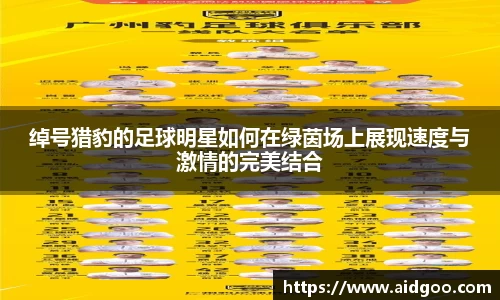 绰号猎豹的足球明星如何在绿茵场上展现速度与激情的完美结合