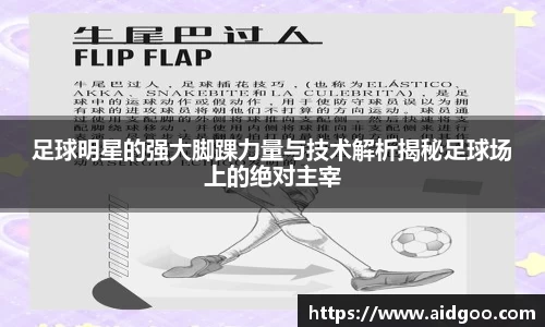 足球明星的强大脚踝力量与技术解析揭秘足球场上的绝对主宰