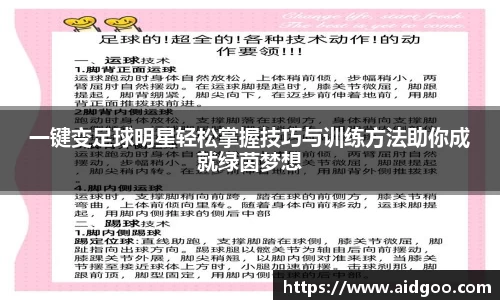 一键变足球明星轻松掌握技巧与训练方法助你成就绿茵梦想